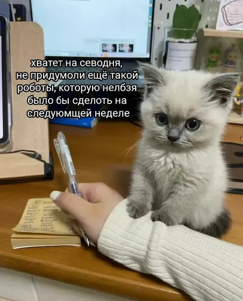 Хватит на сегодня