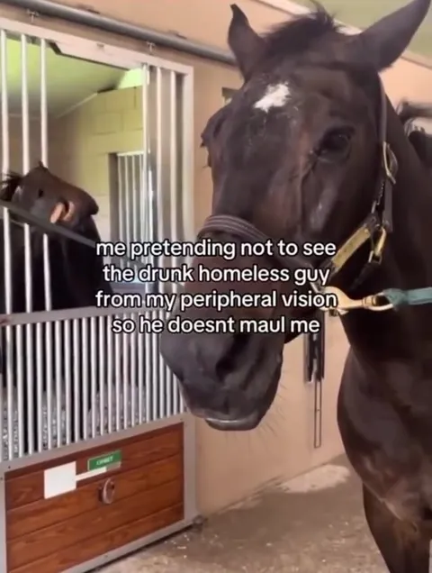 Pretending Not to See the Horse