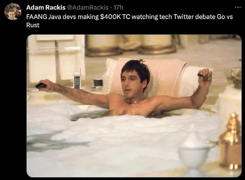 FAANG Dev Watching Go vs Rust Debate