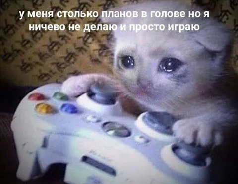Кот играет вместо дел