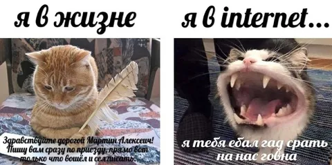 Я в жизни и в интернете