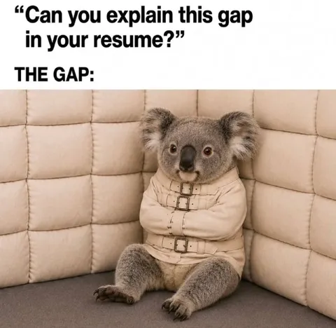 Koala Explains the Resume Gap