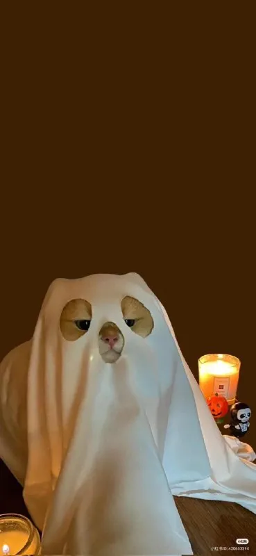 Уставший призрак на Хэллоуин