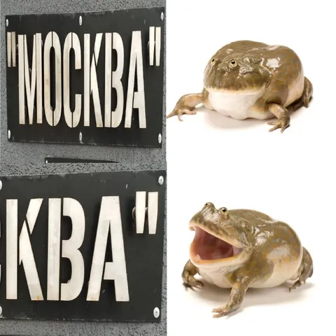 Москва и лягушачье «ква»