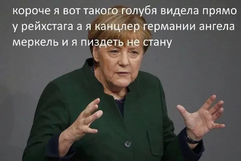 Ангела Меркель про голубя
