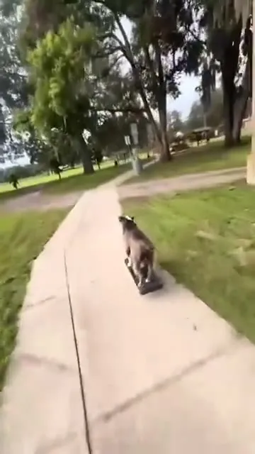 Greyson Makes a Friend