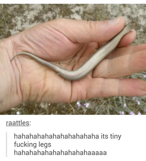 Tiny Fucking Legs
