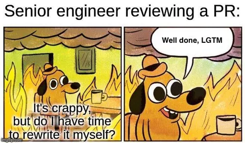 Senior Engineer Reviews a PR