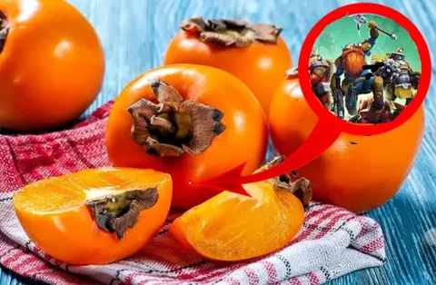 Хурма призывает воинов