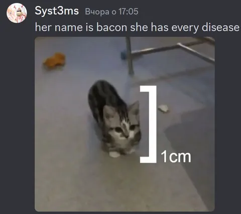Bacon Has Every Disease