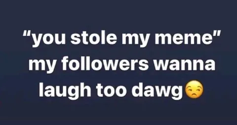 You Stole My Meme