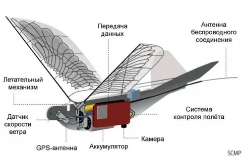 Птица с начинкой дрона