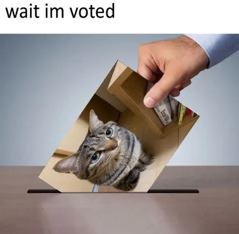 Wait I’m Voted Cat