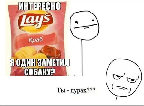 Я один заметил собаку?