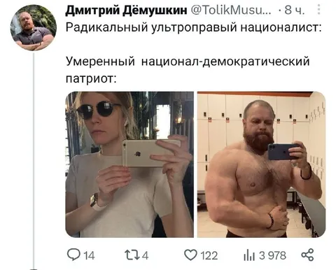 Радикальный националист и умеренный патриот