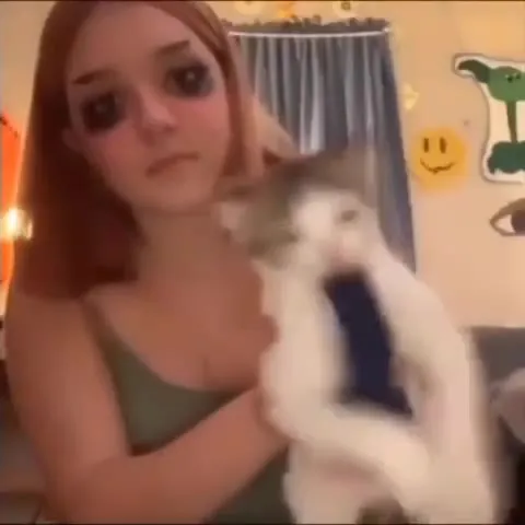 Кошка не хочет делать лапками
