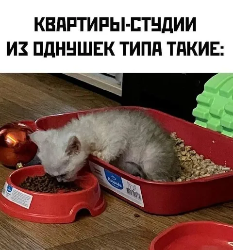 Квартиры-студии из однушек