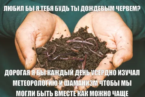 Любил бы я тебя дождевым червем