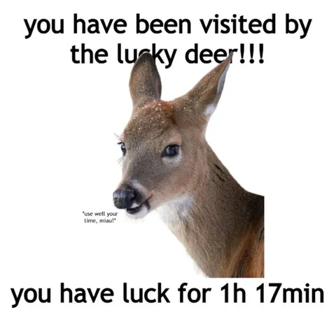 Lucky Deer Visit