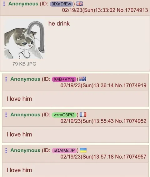 He Drink Cat Reaction Thread