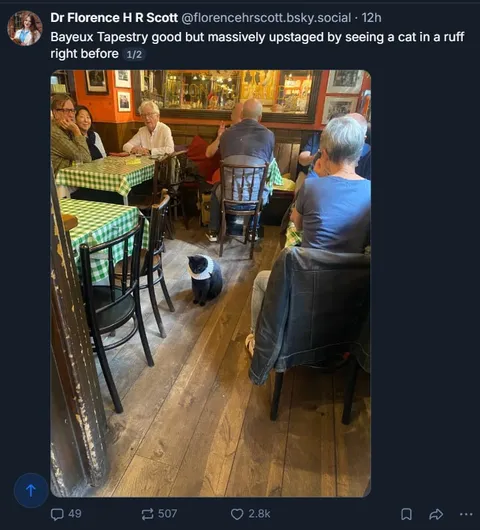 Cat in a Ruff at Dinner