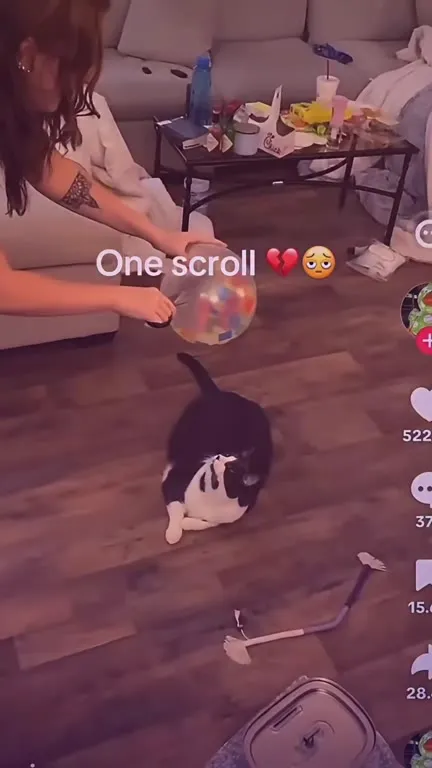 One Scroll Changes Everything