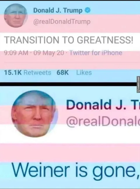 Trump Transition to Greatness