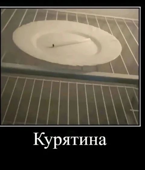 Курятина в морозилке