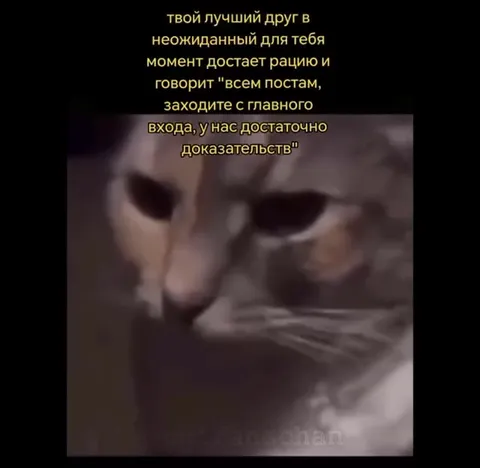Друг внезапно вызывает подкрепление