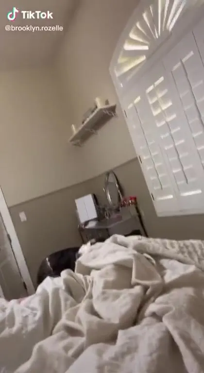 Dog Attacks the Camera in Bed