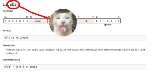 Cat Explains SLLI Instruction