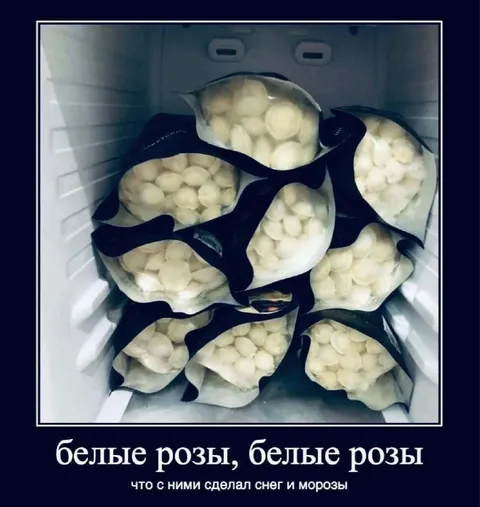 Белые розы в морозилке