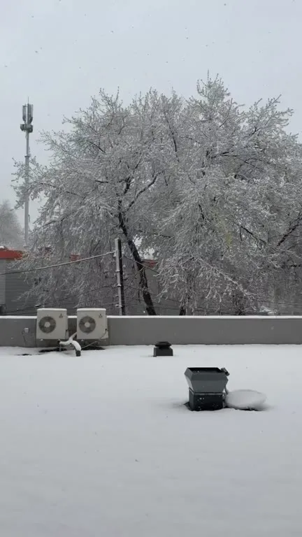 Апрельский снег на крыше