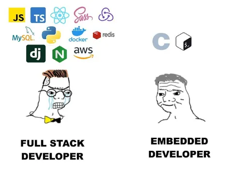 Full Stack vs Embedded Developer