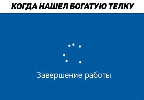 Когда нашел богатую телку
