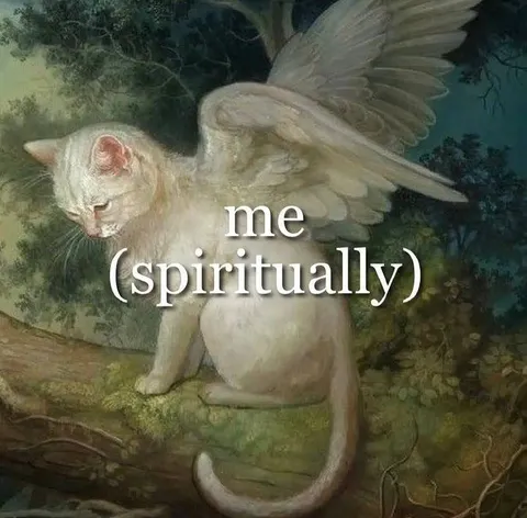 Me Spiritually Angel Cat