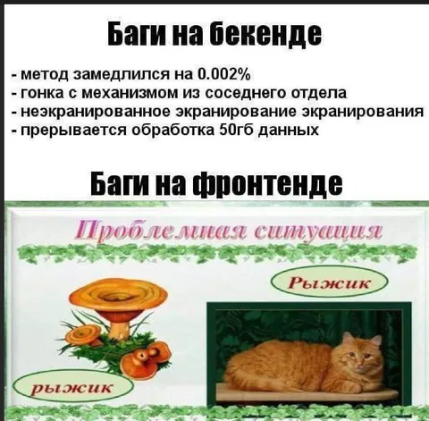 Баги на бэкенде и фронтенде