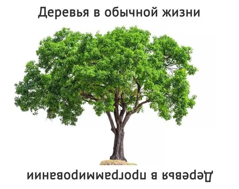 Деревья в проблемной ситуации