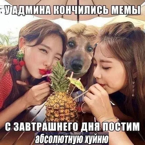 У админа кончились мемы