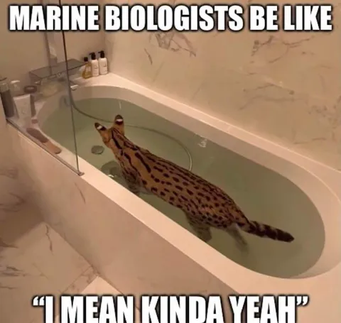 Marine Biologists Be Like