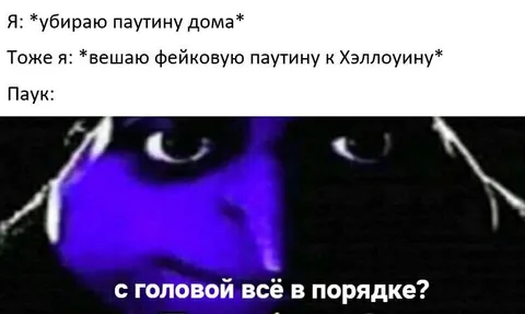 Паук и фейковая паутина