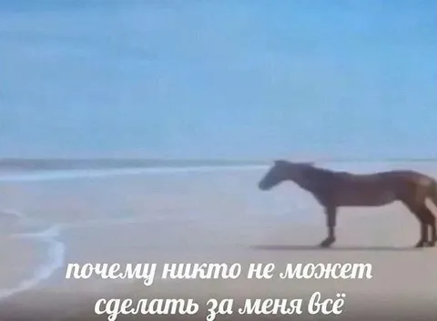Почему никто не сделает всё