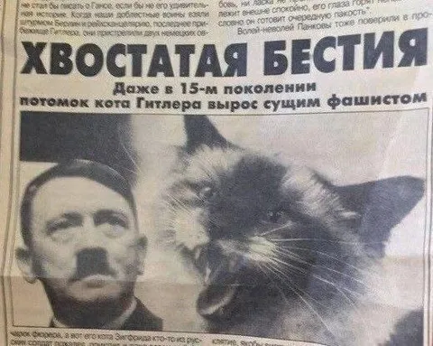 Потомок кота Гитлера