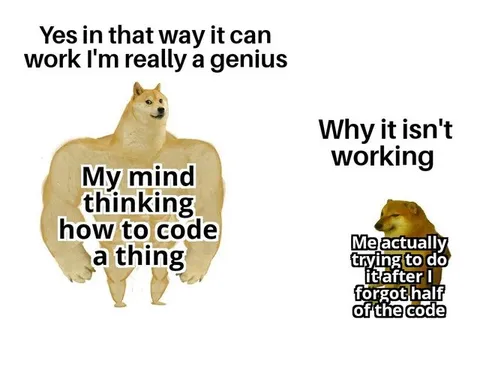 My Mind Coding Like a Genius