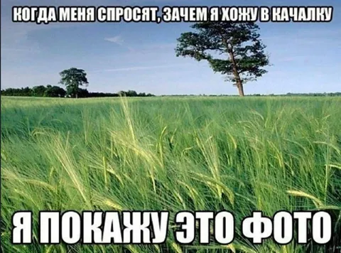 Зачем я хожу в качалку