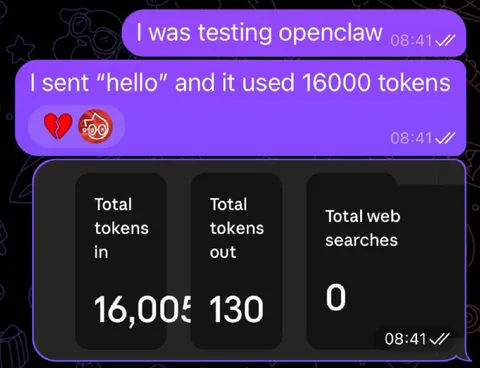 Hello Costs 16000 Tokens