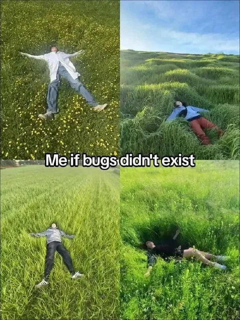 Lying in Fields Without Bugs