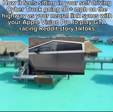 Cybertruck Driver Living the Dream