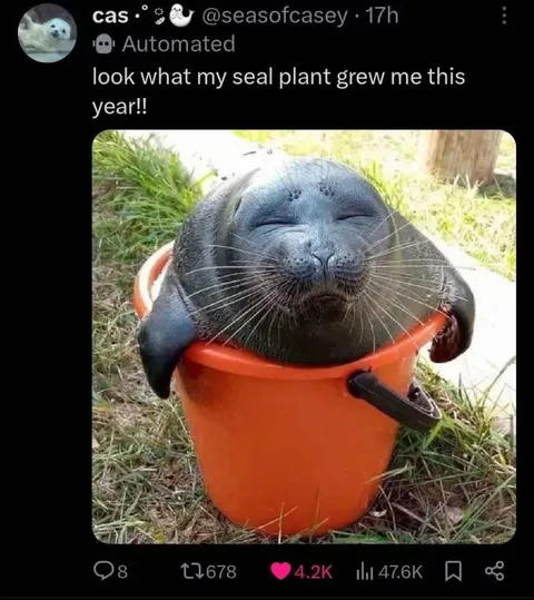 Seal Plant Harvest