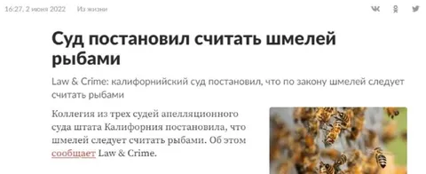 Шмелей признали рыбами